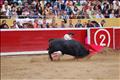 Jose Antonio Pinto (124)